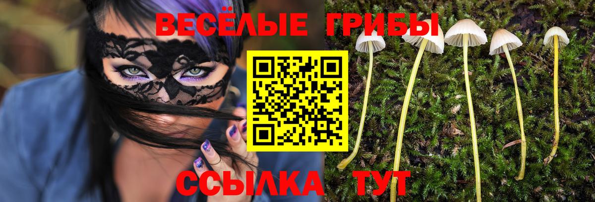 Псилоцибиновые грибы Psilocybe Барабинск